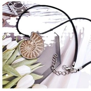 Conchiglia di pietra grezza minerale minerale esemplare naturale conchiglia ciondolo fossile collana per uomo <span class=keywords><strong>donna</strong></span> - Product Image 4