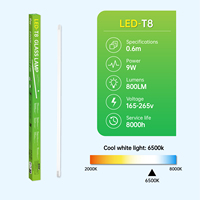 Lámpara LED T8 de Tubo de Vidrio de 9W 18W 22W, 6500K 85lm/w, Corriente Constante IC, 0.6m 1.2m 1.5m para Supermercados y Escuelas