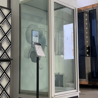 Ascenseur à traction N800, étanche et sûr, avec dispositifs de sécurité électroniques, petit ascenseur extérieur pour maison