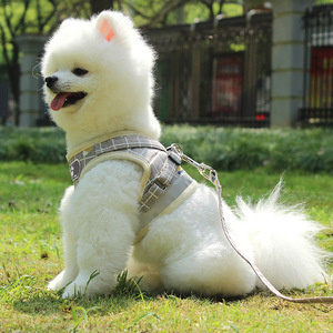 Correa reflectante transpirable para perro pequeño, arnés de pecho de Estilo Chaleco para mascotas, novedad de 2022 - Product Image 3