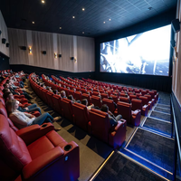 Großhandel mit modernen kommerziellen Theatermöbeln, elektrischen Einzelkino-Sofas, VIP-Leder-Klappsitzen für Heimkino.