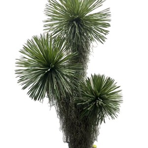 Arbre artificiel Yucca Dream Castle 200 cm+, plante paysagère en caoutchouc souple, verdure du désert - Product Image 5