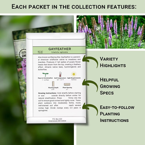 Grande collection <span class=keywords><strong>de</strong></span> fleurs pour la plantation en jardin, variétés anciennes non-OGM, zinnias attirant les pollinisateurs, bouquets à couper - Product Image 2