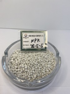 Primer Grado Agrar Fertilizante 15 15/Fertilizante Compuesto NPK 15-15-15 - Product Image 2