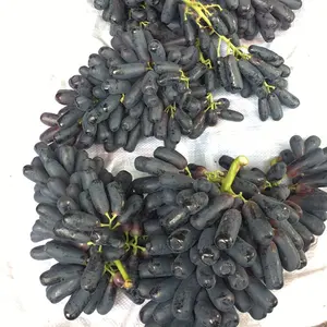 De gros boîte de fruits raisins-Nouvelle récolte de raisins saphir exportation supérieure fruits sans pépins raisins frais globe rouge raisins sans pépins