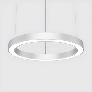 Anillo redondo minimalista de 75cm de diámetro, luz LED lineal colgante con controlador de perfil de aluminio, luz colgante externa - Product Image 1