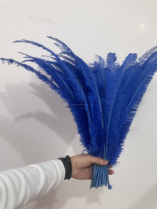 Plumas de Avestruz <span class=keywords><strong>Nandu</strong></span> al por Mayor, Plumas de Avestruz Moradas, Rosas, Blancas, Amarillas y Negras, Plumas de Avestruz Grandes para Vestidos al por Mayor - Product Image 2