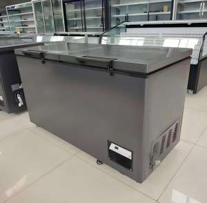 Congelador Horizontal Comercial de 2 Puertas con Apertura Superior, Gran Capacidad para Supermercados y Almacenamiento de Alimentos Congelados en el Hogar - Product Image 1