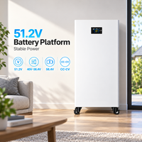 Batterie LiFePO4 sur pied 51,2 V pour stockage solaire domestique 15 kWh, conception de cabinet vertical avec BMS intelligent