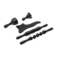 Kit d'outils de thérapie de luxe 5 en 1, ensemble d'outils professionnels en bois pour le modelage du corps