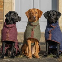 Peignoir de bain super absorbant pour chien, peignoir en microfibre pour chien, serviette enveloppante pour chiot