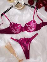 Factory Wholesale Hot Sale Women Lingerie Embroidery Sexy Bra and Underwear Mesh Sexy Lingerie Sets