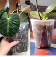 Pots à fleurs transparents en plastique pour orchidées, pots de culture respirants avec contrôle des racines et trous, jardinières transparentes pour Phalaenopsis