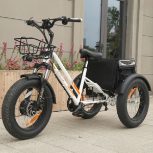 จักรยานสามล้อไฟฟ้า EZREAL 750 วัตต์ 48V แบบโครงเปิดพร้อมยางใหญ่ สำหรับส่งอาหาร มีสินค้าในคลังสินค้าสหรัฐอเมริกา - Product Image 3