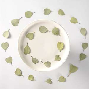 MNR2086 Dried and Pressed <strong>Heart</strong> Shape Eucalyptus Leaves <strong>for</strong> Resin DIY <strong>Craft</strong> Suppliers - Product Image 1