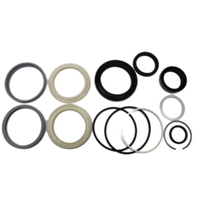 Suku Cadang Mesin Konstruksi Aftermarket, Suku Cadang Aerial Lift, Seal Kit 146060GT 146060 untuk Genie Boom Lift S-80 S-80X S-85