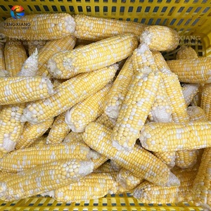 Máquina Desgranadora de Maíz Dulce Comercial Fengxiang MZ-368 con Motor de Alta Productividad, Capacidad de 1500-2000 kg/h - Product Image 4