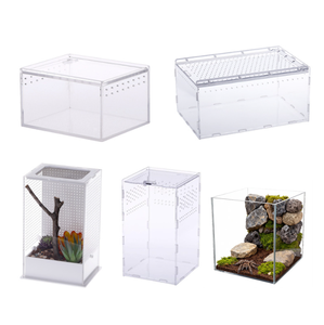 Transparent Acrylic Luxury Reptile Terrarium Breeding <strong>Box</strong> Jumping Spider Habitat Insect <strong>Bug</strong> Enclosure Frog Plastic Tray - Product Image 2