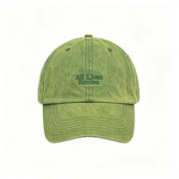 Casquette de baseball vintage délavée verte, style japonais, broderie de lettres, chapeau de soleil souple, pour femmes et hommes, effet amincissant, casquette décontractée pour papa