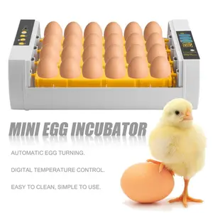 Praktische 24 Eieren Grote Capaciteit Mini Incubator Voor Kip Gevogelte Kwartel Kalkoen Eieren Thuisgebruik Automatische Ei Incubator - Product Image 1