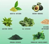OEM Soins de la peau Nettoyage en douceur Supprimer les points noirs Contrôle de l'huile Exfoliant Visage Thé vert Avocat Anti acné Masque de boue nourrissant
