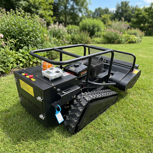 Tondeuses à gazon électriques, tondeuses à gazon autotractées à essence avec largeurs de coupe de 500 à 1200 mm, tondeuses à gazon télécommandées - Product Image 1