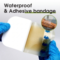 Pansement transparent auto-adhésif en hydrogel pour chevaux