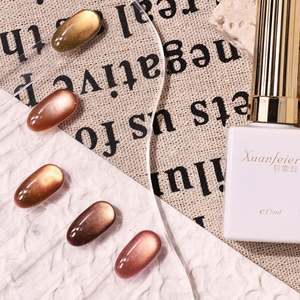 Kit de vernis à ongles en gel UV Garfield Cat 16 couleurs OEM avec perles de verre brun <span class=keywords><strong>caramel</strong></span>, design œil de chat, vernis à ongles en gel magnétique 15 ml - Product Image 2