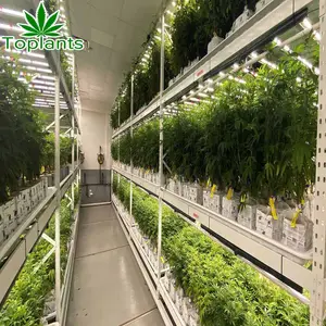 Estante Vertical para cultivo, sistema de cultivo hidropónico aeropónico