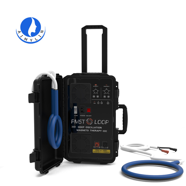 Magneto Therapy Pemf Magnetic Therapy Device for Animal