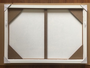 Lienzo Estirado con Marco Flotante - Product Image 6