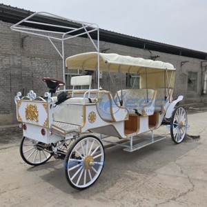 2025 Carrosse Électrique Royal de Luxe à 4 Roues, Alimenté par Batterie, pour Mariages et Visites Touristiques, Transport Spécial à Vendre - Product Image 6