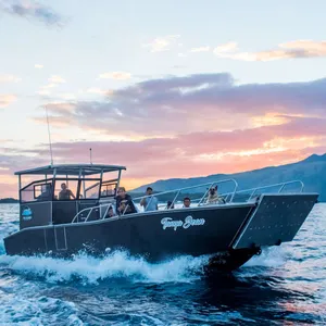 Offshore Big Capacity Allsea 11m/36ft LCT Aluminium Alloy Welded Landing Craft Working Boat For Sale