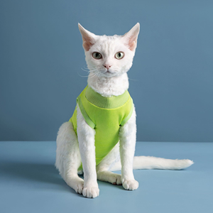 Wholesale Pet Recovery Suit Cat Surgery Clothes Pet <b>Dog</b> Cat Surgery Clothes - Product Image 5