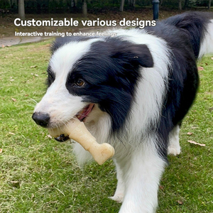 पालतू काटने के प्रतिरोधी सिमुलेशन हड्डी चउ खिलौना आउटडोर प्रशिक्षण कुत्ते चउ टीईथिथिथिथिथिथिंकिंग स्टिक फैक्टरी प्रत्यक्ष बिक्री - Product Image 1