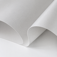 Tissu PVC tissé blanc imprimé 500D 18x18, résistant à l'humidité, en large rouleau, pour Air Dancer publicitaire