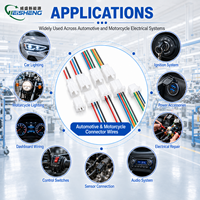 Câble de raccordement personnalisé avec connecteur mâle-femelle 2,8 mm, 18AWG, 12V, 5-15A pour moto et voiture