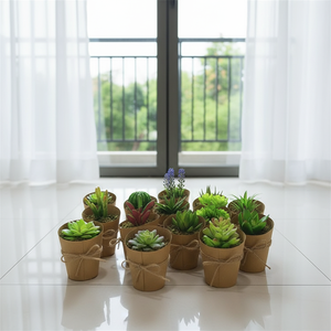 Mini <span class=keywords><strong>cactus</strong></span> artificiel <span class=keywords><strong>pas</strong></span> <span class=keywords><strong>cher</strong></span> dans un pot en papier, fait main, réaliste, durable, décoration intérieure - Product Image 5