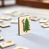 Tuiles de Mahjong Américaines Apres Mahj, Ensemble de Tuiles de Mahjong Personnalisées sur le Thème du Ski, Tuiles de Mahjong de Luxe pour Soirée de Jeu