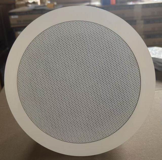 PA System In-ceiling Speaker 5" 2.5W-5W-10W-20W Coaxial Ceiling Speaker with ABS Cover