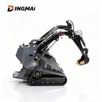 Minicargadora DINGMAI de Doble Cilindro con Tracción Hidráulica para Renovación de Patios, Movimiento de Tierras en Pastos y Proyectos de Construcción