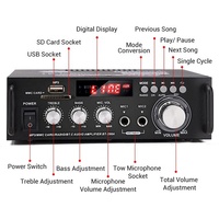 Yüksek kaliteli HI-FI Stereo ses güç amplifikatörü ev sineması çift kanal 300W tepe BT 5.0 araba amplifikatör DC12V