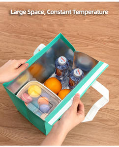 थोक गैर-winviven बैग लैमिनेटेड कूलर बैग अनुकूलित लोगो वाटरप्रूफ भोजन वितरण बैग - Product Image 3