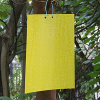 Piège à mouches des fruits double face pour serre jaune Piège à insectes pour jardin agricole et domestique