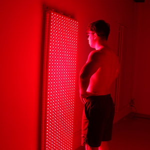 Il punto rosso ha condotto il pannello <span class=keywords><strong>di</strong></span> terapia della <span class=keywords><strong>luce</strong></span> rossa infrarossa <span class=keywords><strong>di</strong></span> grado professionale 6000W RD6000 per il <span class=keywords><strong>corpo</strong></span> pieno 660nm/850nm per il tocco <span class=keywords><strong>di</strong></span> sollievo dal dolore - Product Image 2