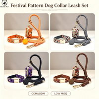 Ensemble collier et laisse pour chien à motif festif avec porte-sac à déjections, kit de promenade réglable pour animaux de compagnie pour toutes les races de chiens, personnalisable OEM/ODM