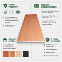 Contrachapado de Grado Marino, Contrachapado Impermeable WBP con Pegamento Fenólico, Lámina de Contrachapado Marino para Encofrados de Construcción