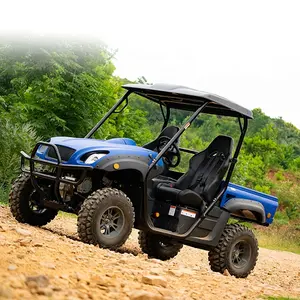 2024 4wd Electric UTV COC Approval For Europe