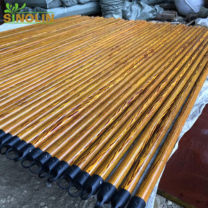 Mango <span class=keywords><strong>de</strong></span> fregona <span class=keywords><strong>de</strong></span> madera recubierto <span class=keywords><strong>de</strong></span> PVC barato al por mayor, palo <span class=keywords><strong>de</strong></span> limpieza, escoba <span class=keywords><strong>de</strong></span> coco <span class=keywords><strong>de</strong></span> plástico duradero para exportación - Product Image 3