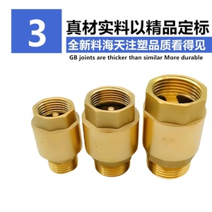 Clapet anti-retour 1 pouce, filetages interne et externe, structure à une seule palette, pour eau du robinet, type traversant - Product Image 4